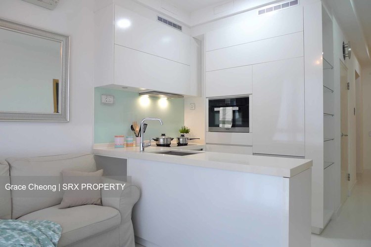 Onze @ Tanjong Pagar (D2), Apartment #206257061